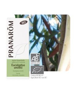 Eucalyptus smithii (Eucalyptus smithii) BIO, 10 ml