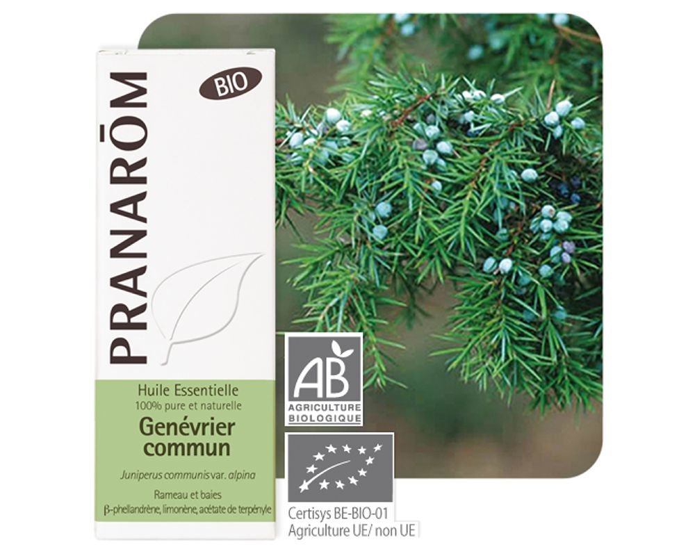 Huile Essentielle De Genévrier (Juniperus Communis) - Baie Pure 100% Naturelle