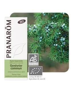 Genévrier commun (Juniperus communis) BIO, 5 ml
