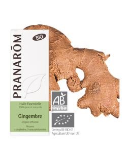 Ginger Bio (Zingiber officinale)