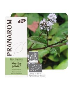 Menthe poivrée (Mentha x piperita) - Huile essentielle, BIO, 10&nbsp;ml