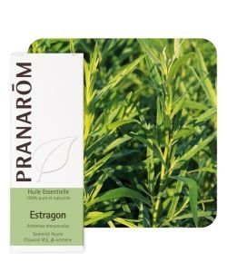 Estragon (Artemisia dracunculus), 5 ml