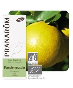 Pamplemoussier (Citrus paradisi)