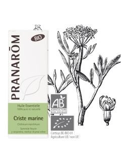 Criste marine (Crithmum maritimum) BIO, 5 ml