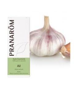 Garlic (Allium sativum)