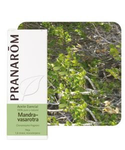 Mandravasarotra - Saro (Cinnam. fragr.), 10 ml