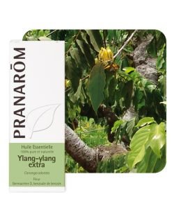 Ylang-ylang extra (Cananga odorata)