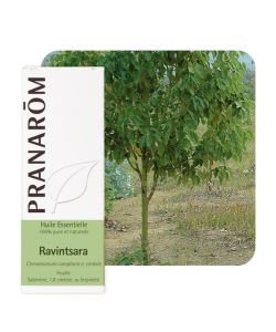 Ravintsara (Cinnamomum camphora ct cinéole), 10 ml