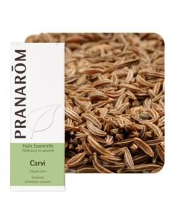 Carvi (Carum carvi), 10 ml