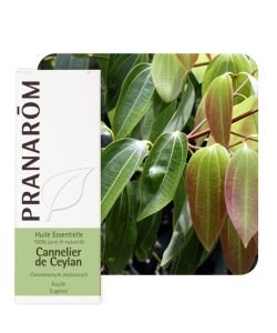 Ceylon Cinnamon Leaf , 10 ml