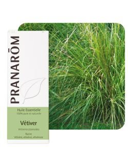 Vetiver (Vetiveria zizanioides), 5 ml