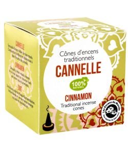Cinnamon Indian incense cones - damaged packaging, 12 cones