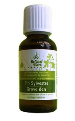 Scots pine (Pinus sylvestris) bud - DLUO 12/2019 BIO, 30 ml