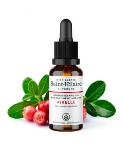 Mélange De Tisanes Aux Airelles Rouges (Vaccinium Vitis-idaea