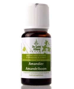 Amandier (Prunus dulcis) bourgeon BIO, 30 ml