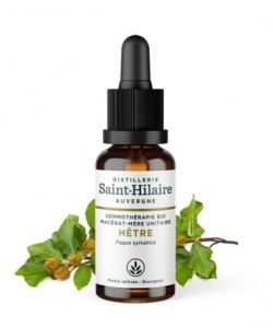 Beech (Fagus sylvatica) bud - 30ml - De Saint-Hilaire
