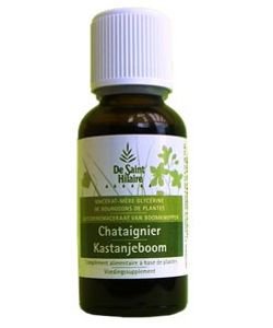 Châtaignier (Castanea vesca) bourgeon BIO, 30 ml