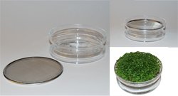 Coupelle de germination, pièce