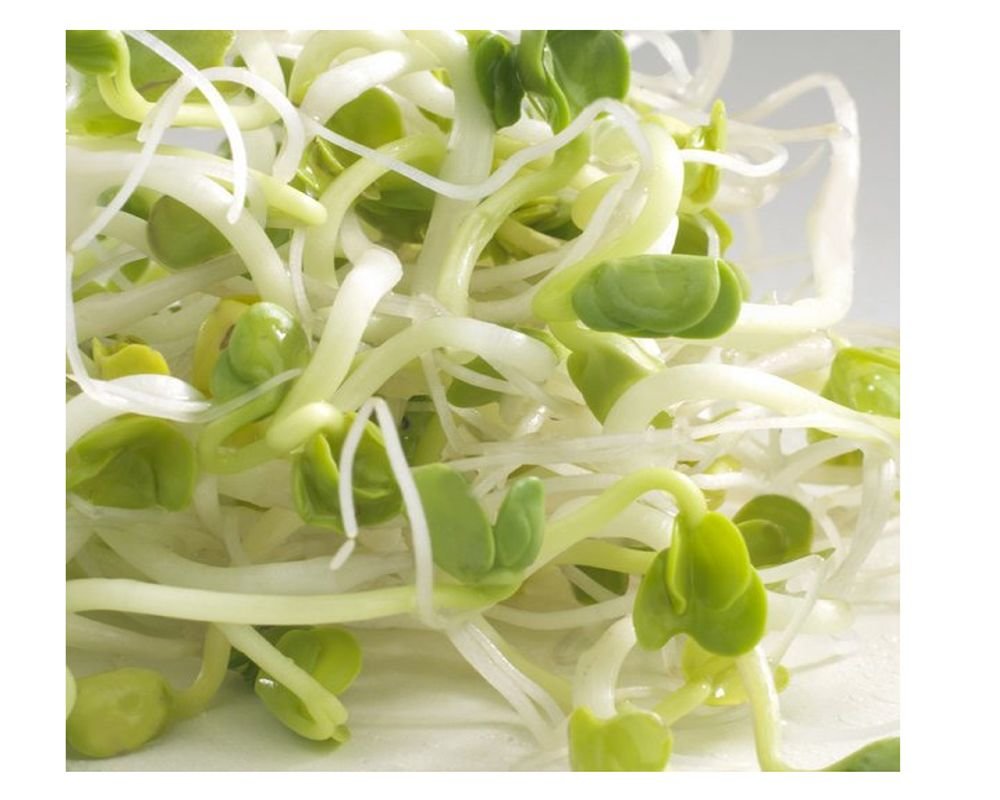 Graines à germer - Radis Daikon - bio - 100g - Germline