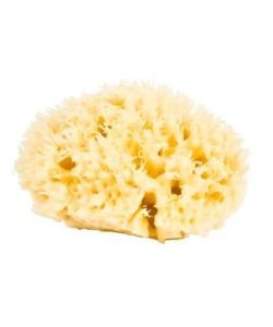 Natural Sea Sponge: 9-10cm, part