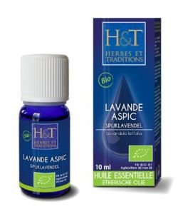 Spike lavender (Lavandula spica - Lavandula latifolia) BIO, 10 ml