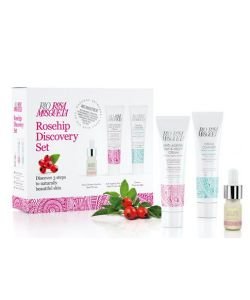 Discovery Set - Care in the Musk rose, part