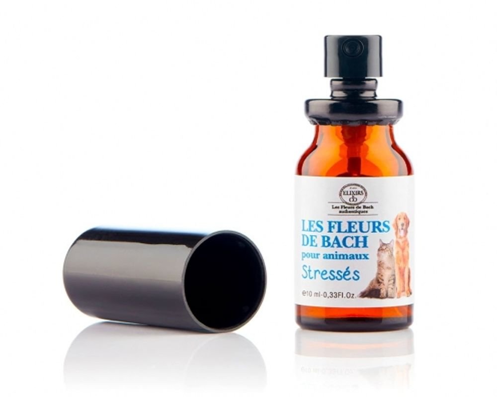 Elixir animaux stressés - fleurs de Bach bio - Elixirs & Co - 10 ml