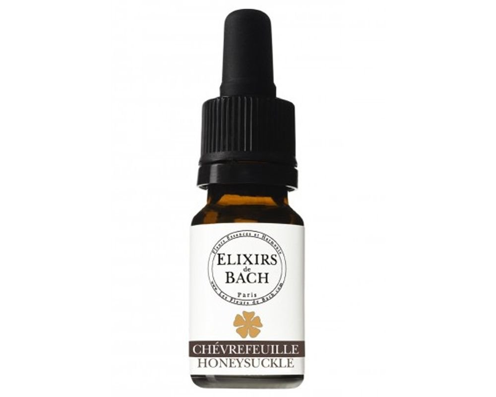 Fleur de Bach 16 Honeysuckle Chèvrefeuille Elixirs & Co 10 ml Fleur de Bach 16 Honeysuckle Chèvrefeuille Elixirs & Co 10 ml