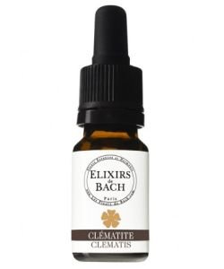 Clématite - Clematis (Fleur de Bach n°9) BIO, 10 ml