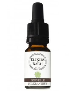 Gnavelle - Scleranthus (Fleur de Bach n°28) BIO, 10 ml