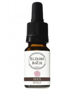 Houx - Holly (Fleur de Bach n°15) BIO, 10 ml