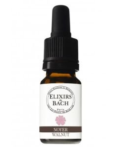 Noyer - Walnut (Fleur de Bach n°33) BIO, 10 ml