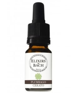 Plumbago - Cerato (Fleur de Bach n°5) BIO, 10 ml