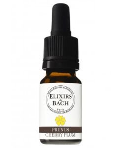 Prunus - Cherry Plum (Fleur de Bach n°6) BIO, 10 ml