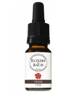 Vigne - Vine (Fleur de Bach n°32) BIO, 10 ml