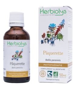 Pâquerette (Bellis perennis) - Macérât de plantes fraîches BIO, 50 ml