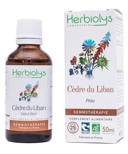 Cèdre du Liban (cedrus libani) - bourgeons frais BIO, 50 ml