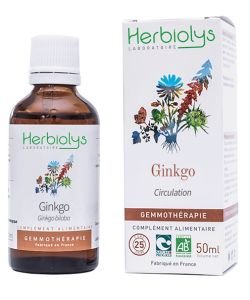 Gingko biloba (ginkgo biloba) - fresh buds BIO, 50 ml