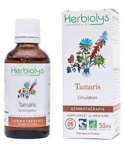 Tamaris (tamarix gallica) - bourgeons frais BIO, 50 ml