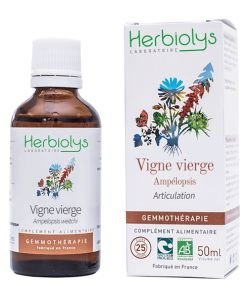 Vigne vierge (ampelopsis weitchi) - bourgeons frais BIO, 50 ml