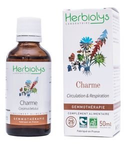 Charme (carpinus betulus) - bourgeons frais BIO, 50 ml