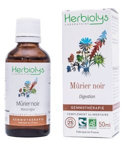 Mûrier noir (morus nigra) - bourgeons frais BIO, 50 ml