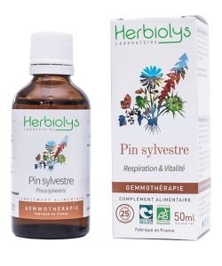 Pin sylvestre (pinus sylvestris) - bourgeons frais BIO, 50 ml