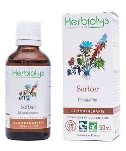 Sorbier (sorbus domestica) - bourgeons frais BIO, 50 ml
