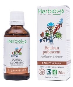 Bouleau pubescent (Betula pubescent) - bourgeons frais - sans emballage BIO, 50 ml