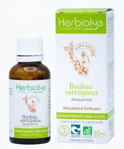 Bouleau verruqueux - bourgeon sans alcool BIO, 30 ml