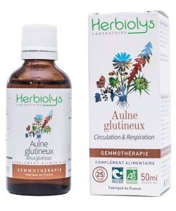 Aulne glutineux (Alnus glutinosa) - bourgeons frais