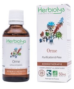 Orme (Ulmus campestris) - bourgeons frais BIO, 50 ml