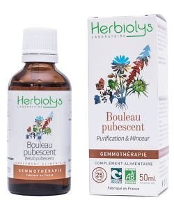 Bouleau pubescent (Betula pubescent) - bourgeons frais BIO, 50 ml