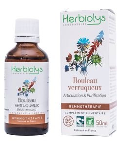 Bouleau verruqueux (Betula verrucosa) - bourgeons frais BIO, 50 ml